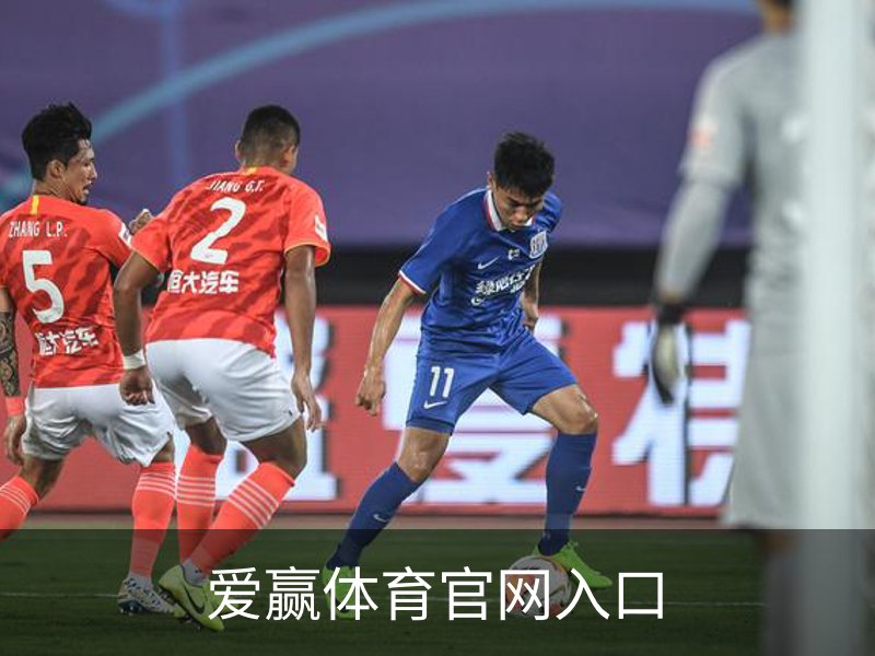 爱赢体育官网入口简介